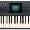 Casio VZ-1